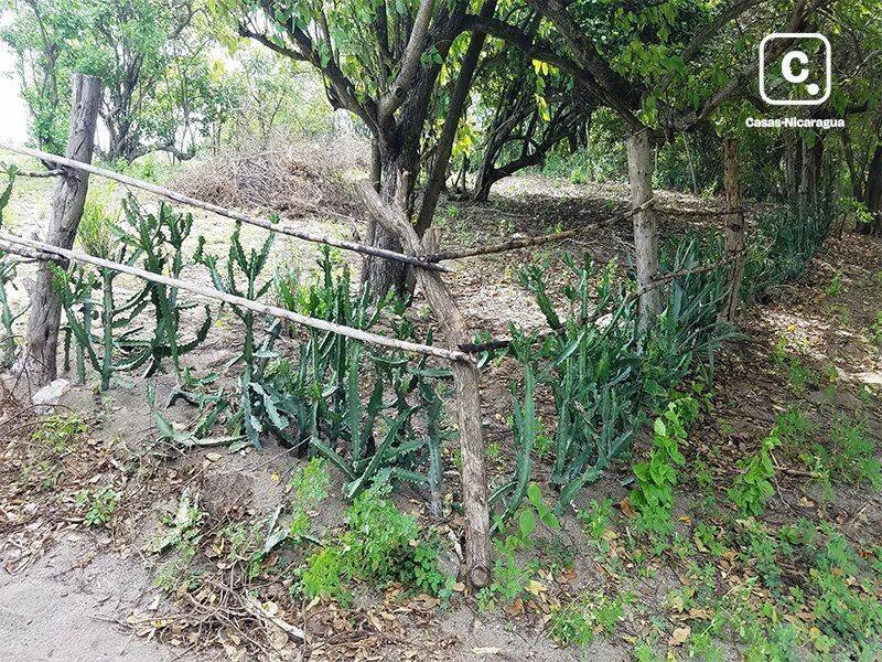 Terreno en venta en Managua – 705 m²