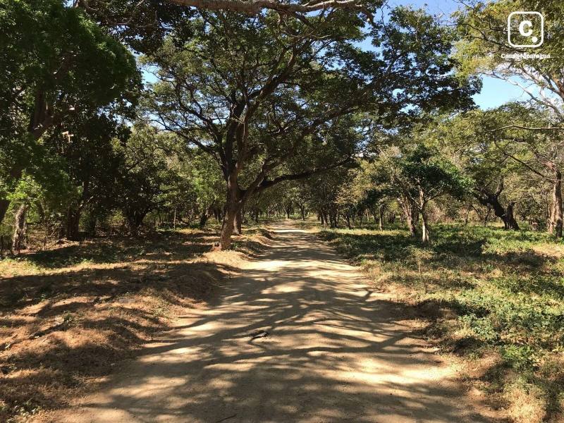 Terreno en venta en San Juan del Sur, Rivas – 551 m²