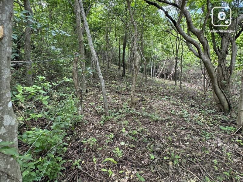 Terreno en venta en San Juan del Sur, Rivas – 3,218 m²