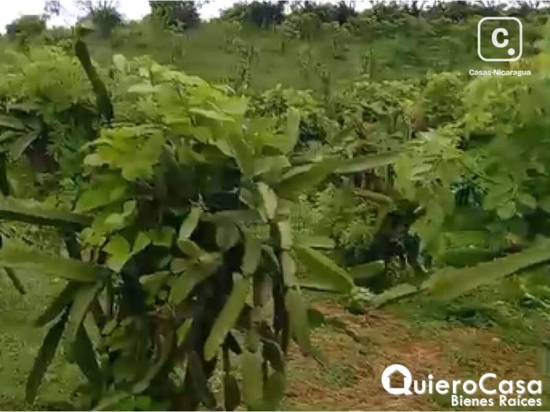 Finca en venta en Carretera Sur, Managua – 489,090 m²