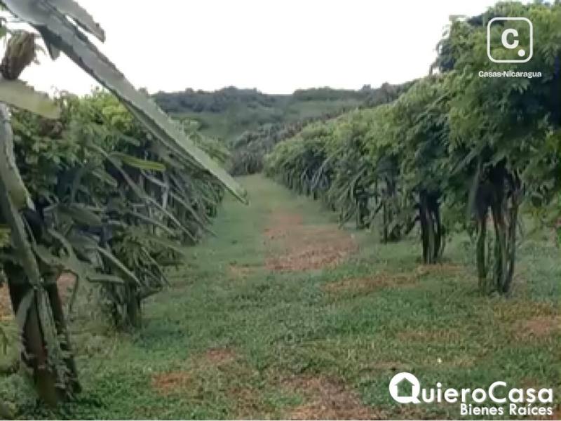 Finca en venta en Carretera Sur, Managua – 489,090 m²