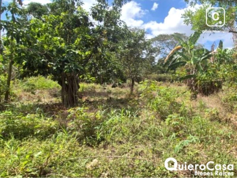 Terreno en venta en Ticuantepe, Managua – 8,925 m²