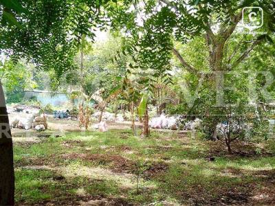 Terreno en venta en Carretera Masaya, Managua – 3,000 varas²