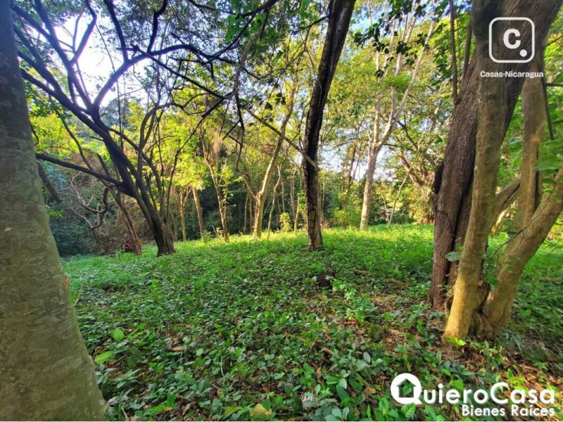 Terreno en venta en Villa Fontana, Managua – 2,100 m²