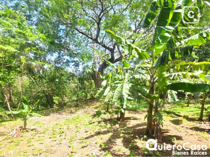 Terreno en venta en Carretera Vieja a León, Managua – 6,630 m²