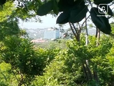 Terreno en venta en Villa Fontana, Managua – 80,000 varas²