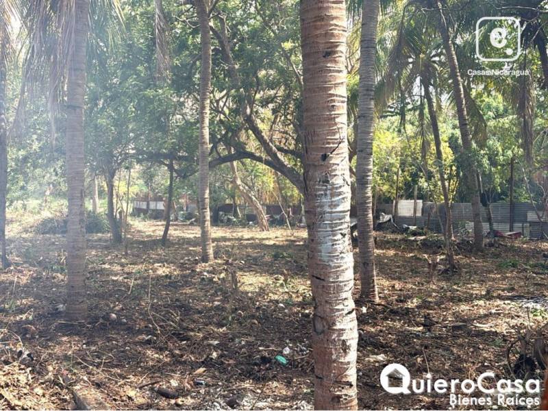 Terreno en venta en Las Colinas, Managua – 628 m²