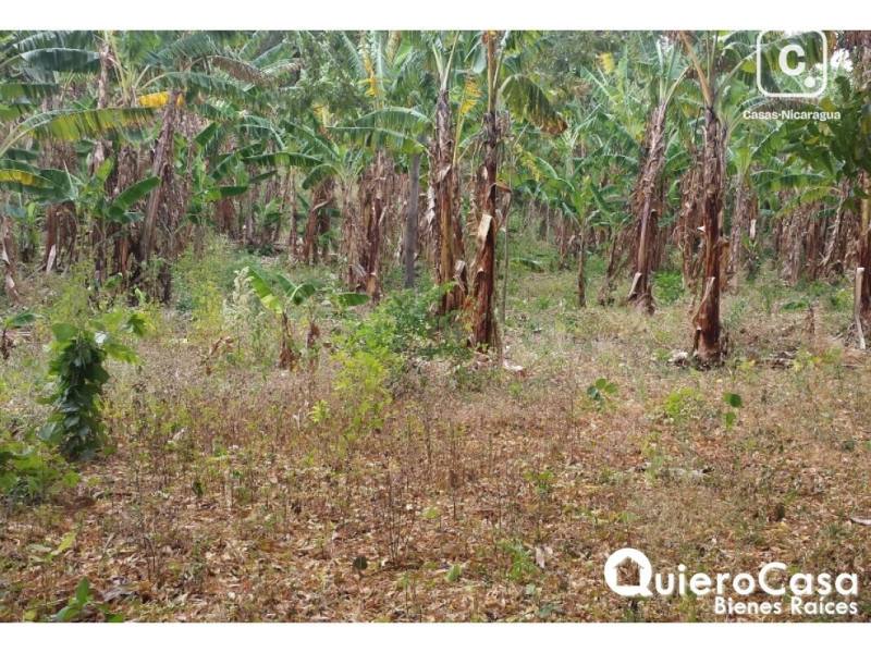 Finca en venta en Carretera Masaya, Managua – 420,000 varas²