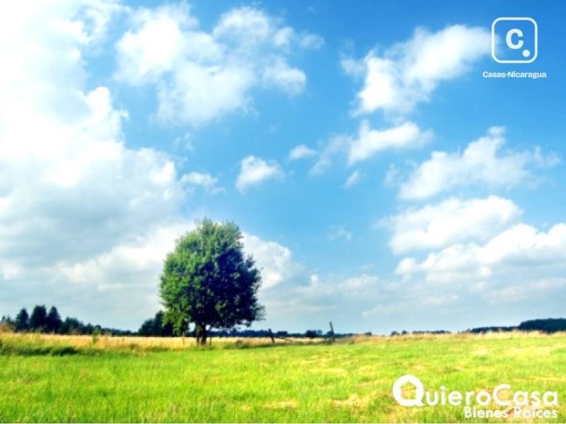 Terreno en venta en Masaya – 2,460 m²