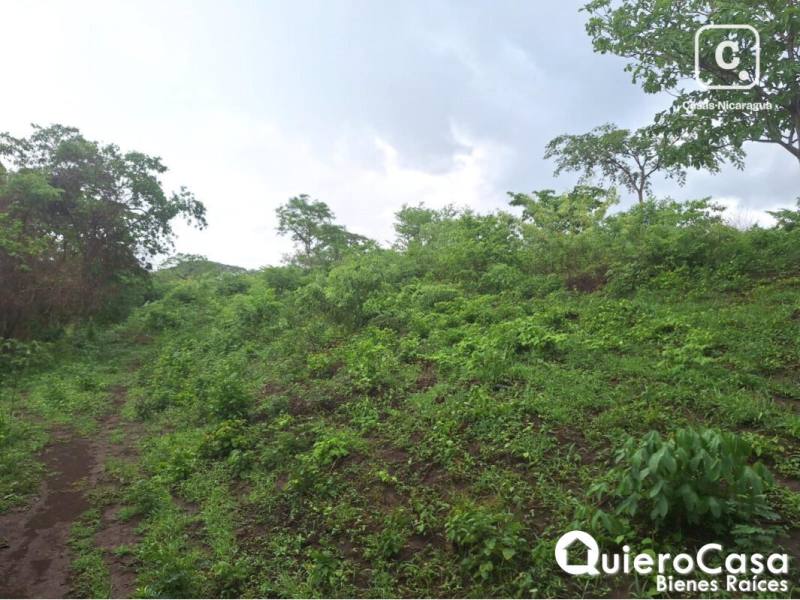 Finca en venta en Carretera Nueva León, Managua – 48,909 m²