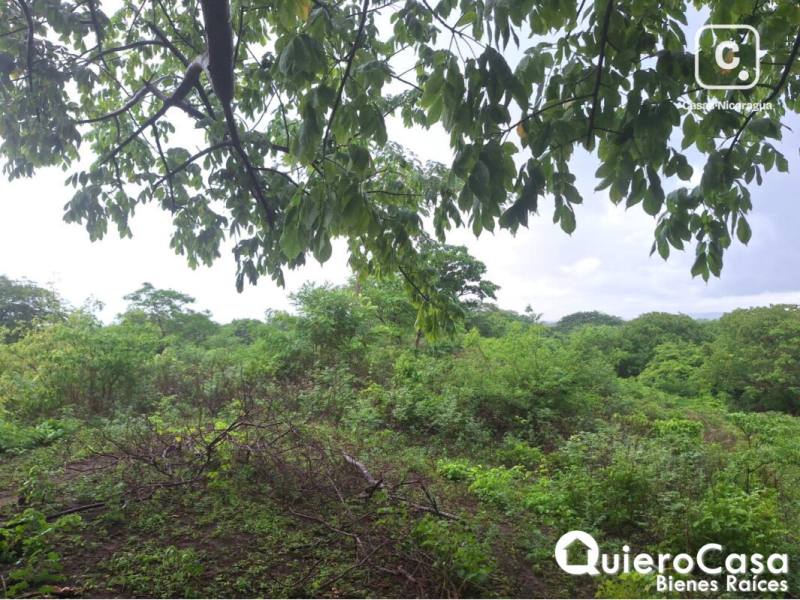 Finca en venta en Carretera Nueva León, Managua – 48,909 m²