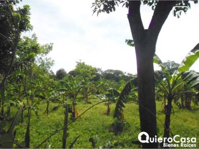 Terreno en venta en Santo Domingo, Managua – 4,543 m²