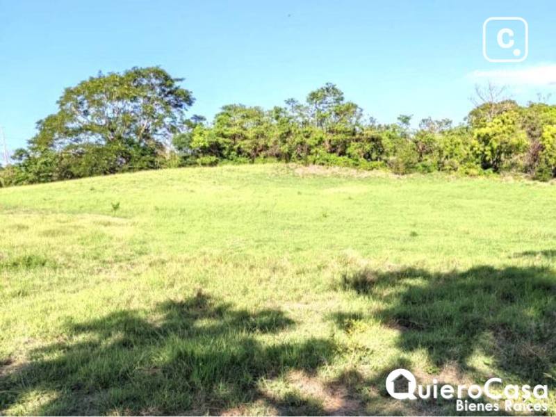 Terreno en venta en Rivas – 20,961 m²