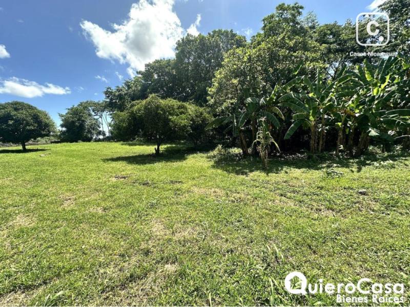 Terreno en venta en Esquipulas, Managua – 335 m²