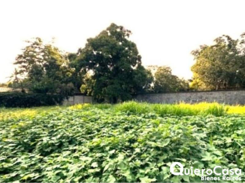 Terreno en venta en Carretera Masaya, Managua – 445 m²