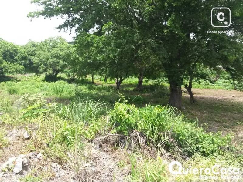 Terreno en venta en Carretera Masaya, Managua – 14,293 m²