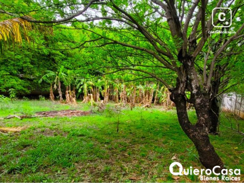 Terreno en alquiler en Carretera Masaya, Managua – 139 m²