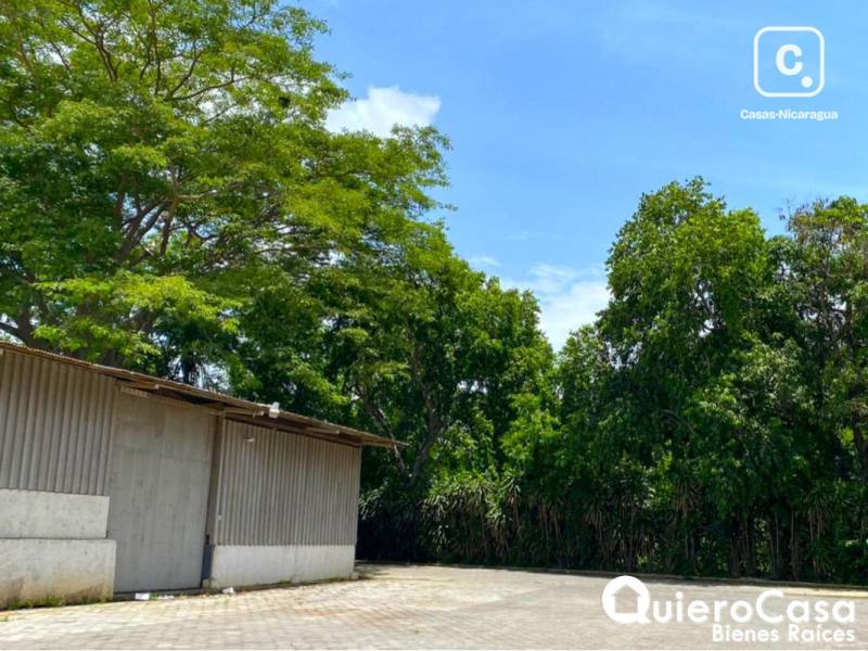 Bodega en alquiler en Carretera Masaya, Managua – 386 m², US$ 2,702/mes