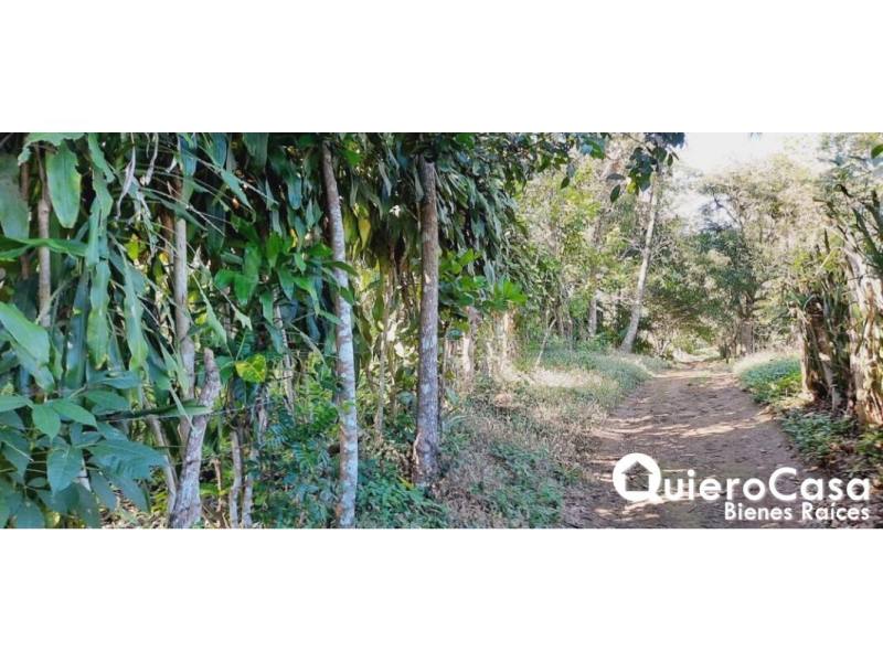 Terreno en venta en Niquinohomo, Masaya – 8,174 m²