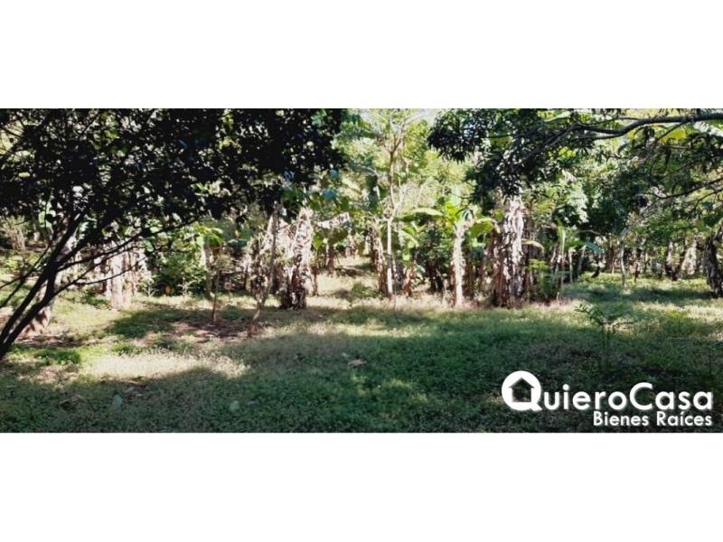 Terreno en venta en Niquinohomo, Masaya – 8,174 m²