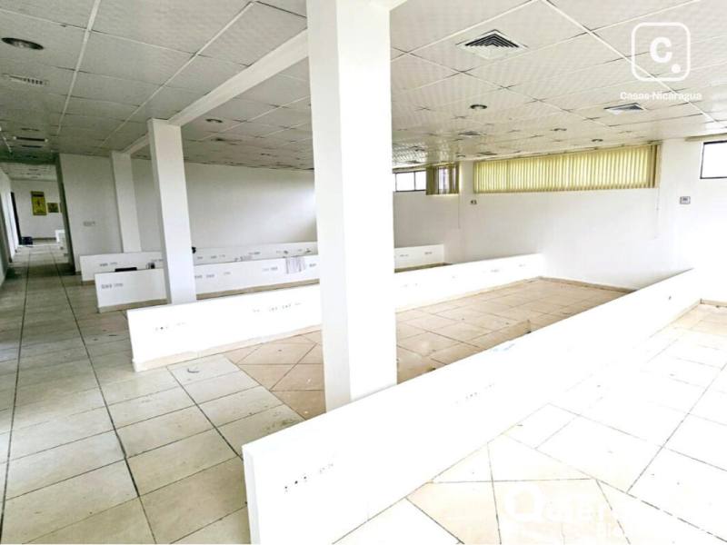 Oficina en alquiler en Villa Fontana, Managua – 355 m²