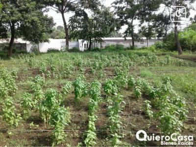 Terreno en venta en Santo Domingo, Managua – 746 m²