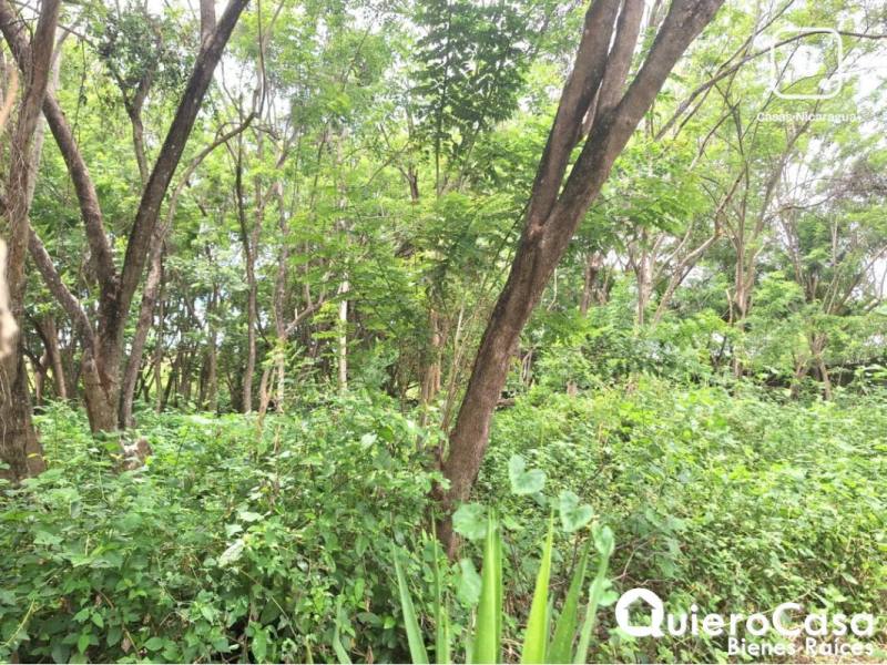 Terreno en venta en Carretera Masaya, Managua – 2,355 m²