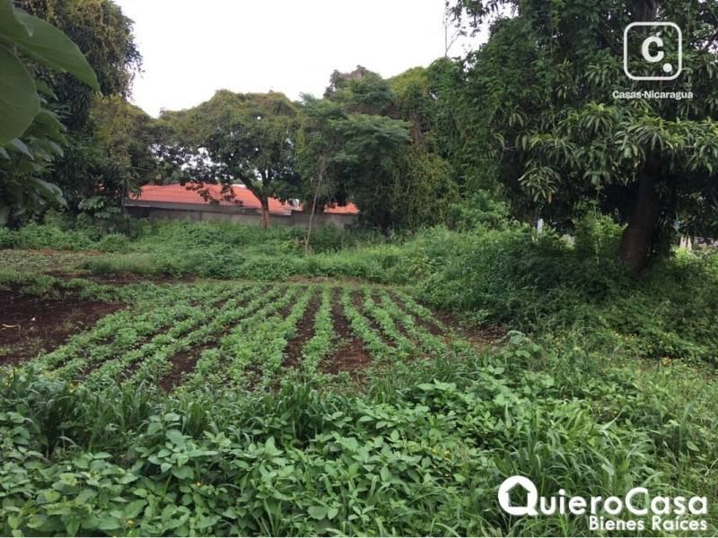 Terreno en venta en Santo Domingo, Managua – 746 m²