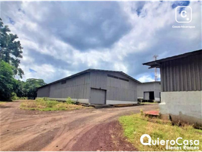 Bodega en alquiler en Carretera Masaya, Managua – 448 m²