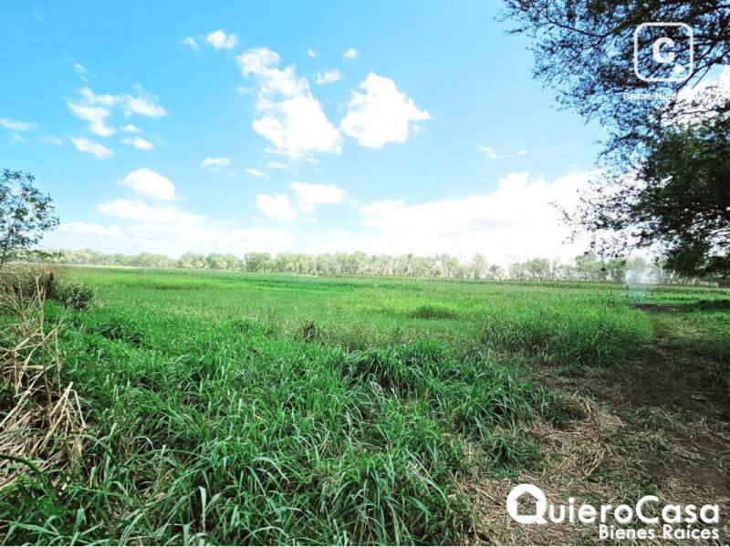 Terreno en venta en Sábana Grande, Managua – 97,818 m²