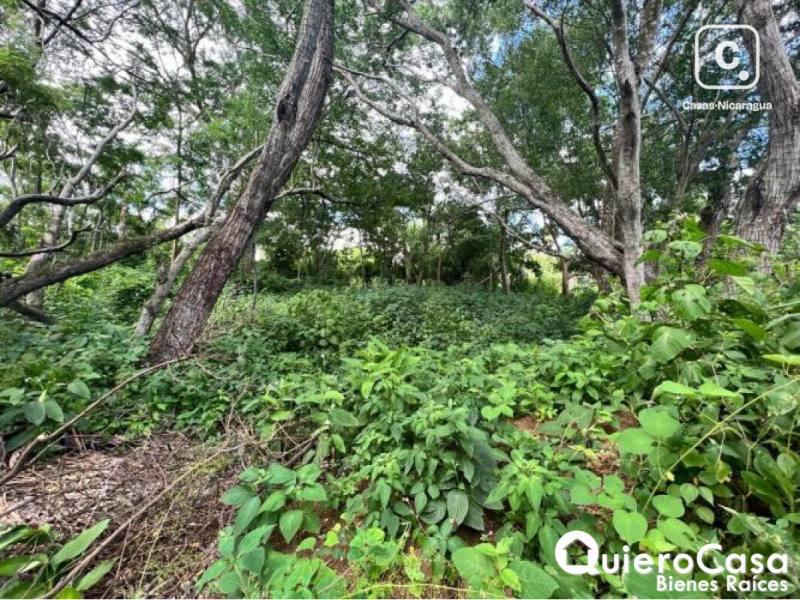 Terreno en venta en Villa Fontana, Managua – 574 m²