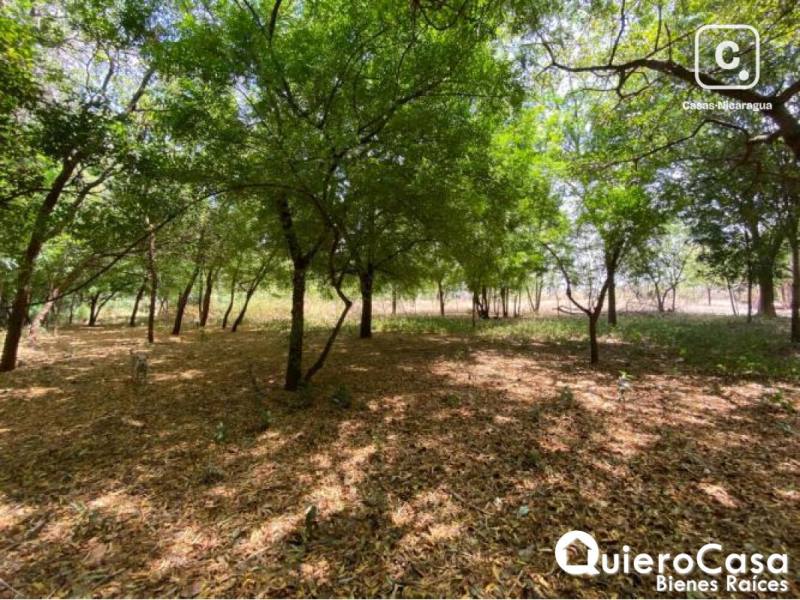 Terreno en venta en Sábana Grande, Managua – 48,909 m²
