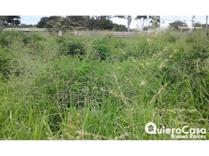 Terreno en venta en Managua – 3,001 m²