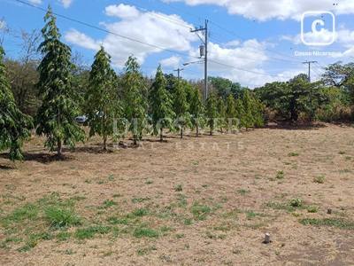 Terreno en venta en Veracruz, Managua – 349 varas²
