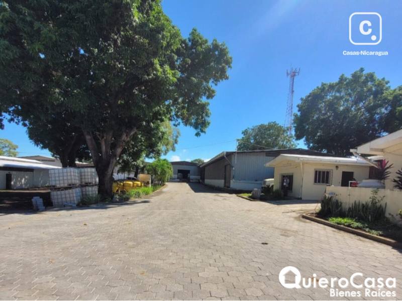 Bodega en alquiler en Carretera Masaya, Managua – 618 m²