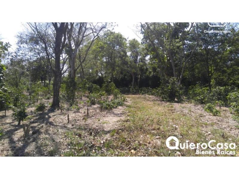 Terreno en venta en Diriamba, Carazo – 13,974 m²