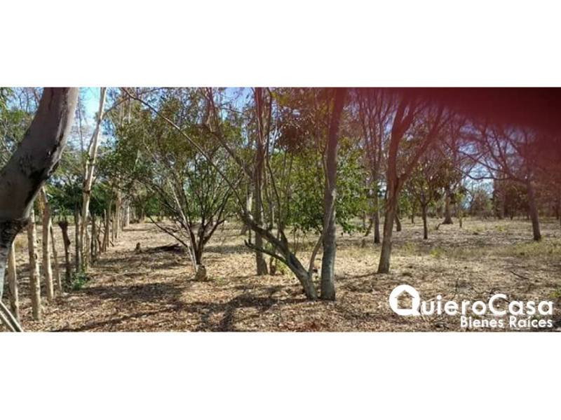 Terreno en venta en Carretera Masaya, Managua – 5,240 m²