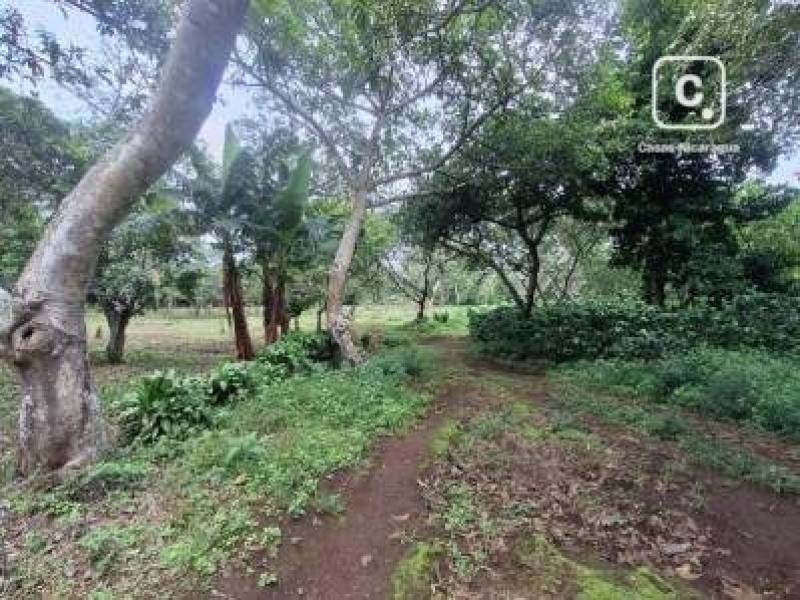 Casa en venta en San Marcos, Carazo – 600,000 m²