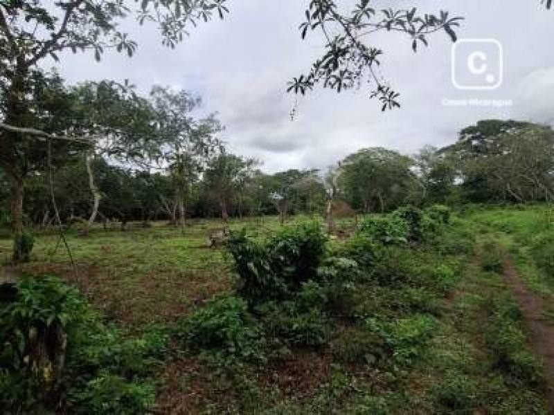 Casa en venta en San Marcos, Carazo – 600,000 m²