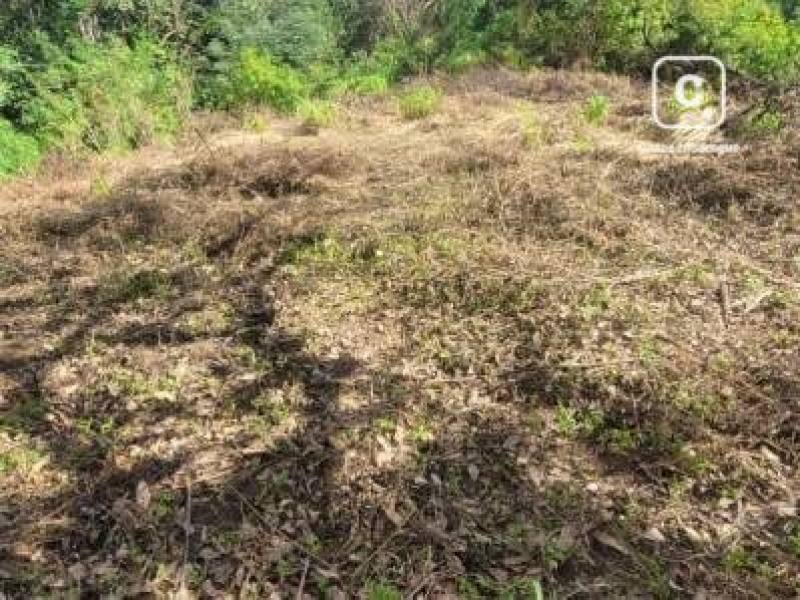 Casa en venta en Colonia Managua, Managua – 1,927 m²