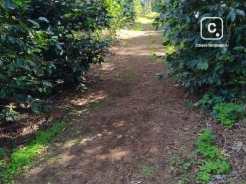 Casa en venta en San Marcos, Carazo – 26 m²