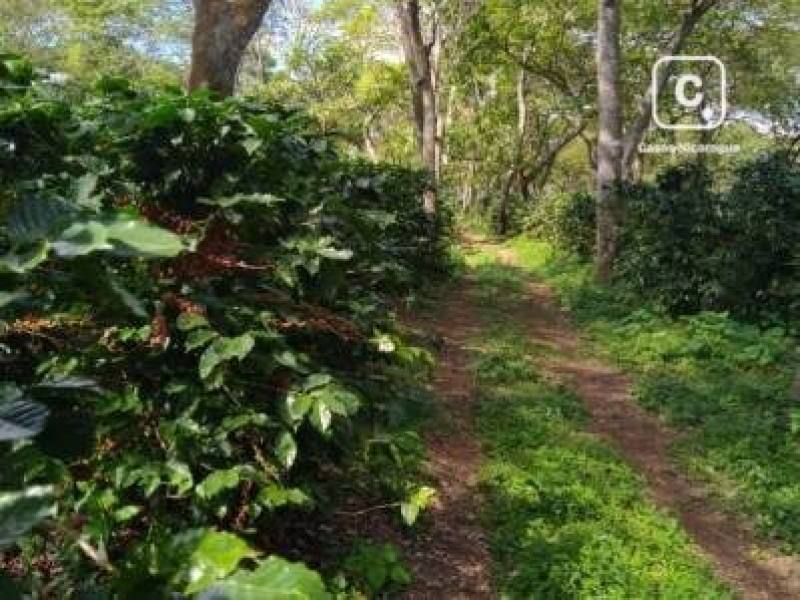 Casa en venta en San Marcos, Carazo – 26 m²