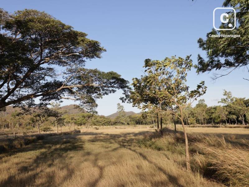 Casa en venta en San Juan del Sur, Rivas – 4 hab, 484,000 m²