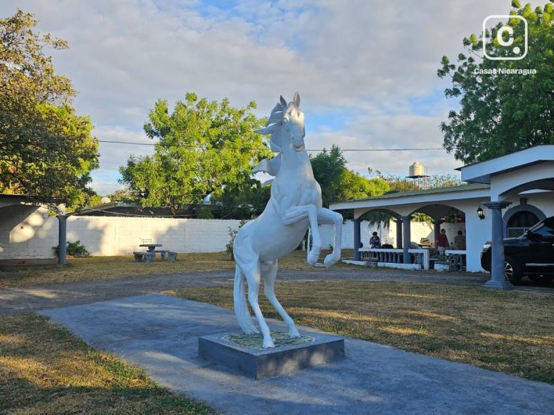 Apartamento en venta en León – 3 hab, 1,000 m²