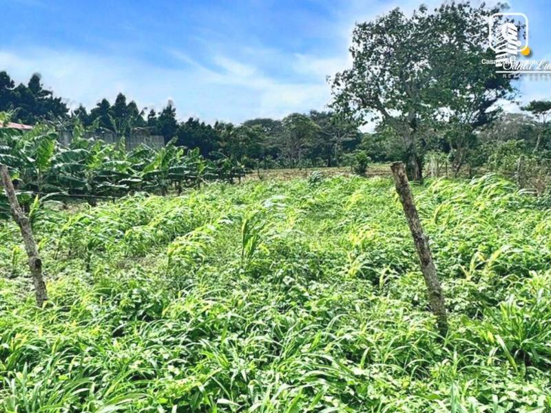 Casa en venta en Managua – 558 m²