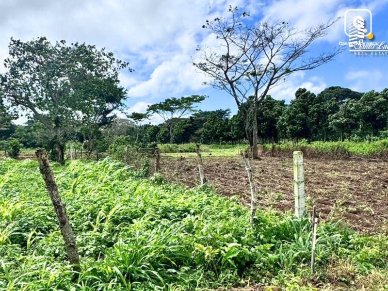 Casa en venta en Managua – 558 m²