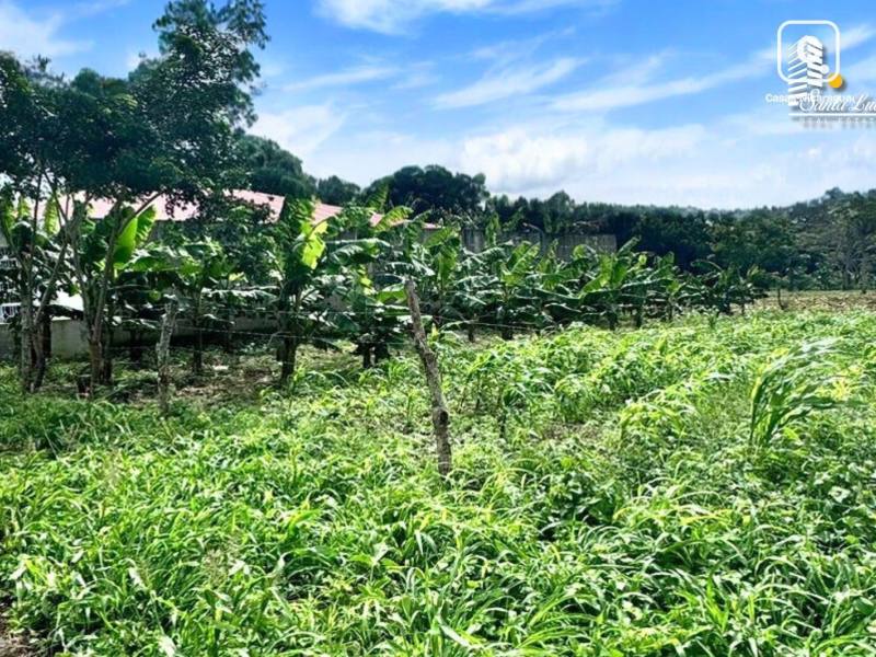 Casa en venta en Managua – 558 m²