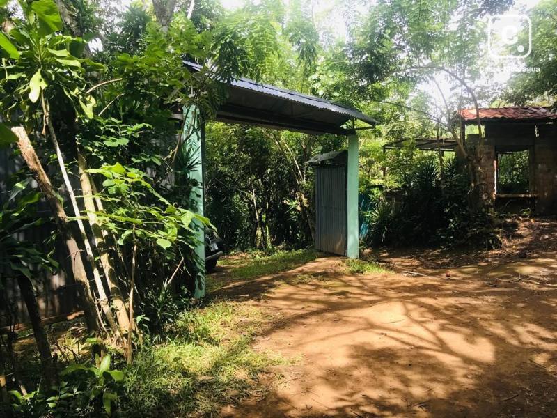 Casa en venta en Catarina, Masaya – 1 hab, 15,586 m²