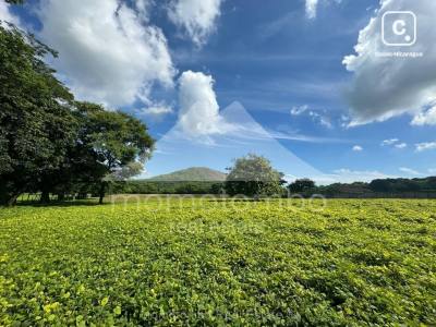 Terreno en venta en Bosques de Nejapa, Managua – 55,000 varas²