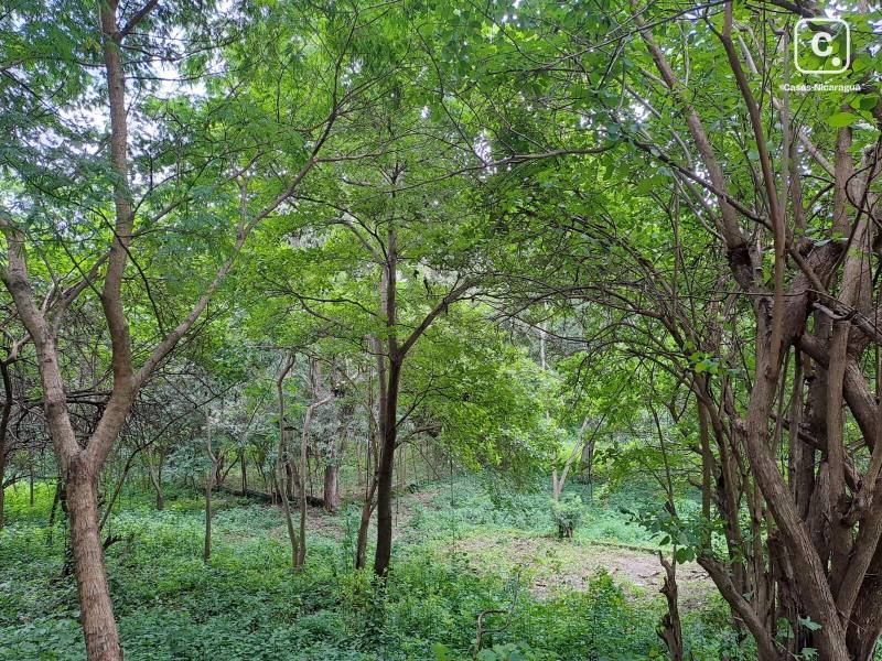 Casa en venta en Managua – 5,623 m²